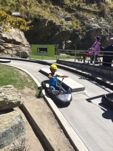 The luge